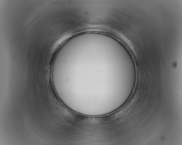 X0000091581411200708201003