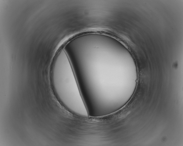 X0000091581412200708201003