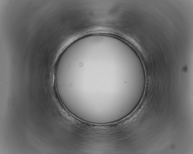 X0000091581413200708201003