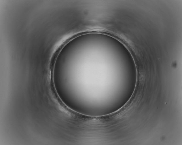 X0000091581414200708201003