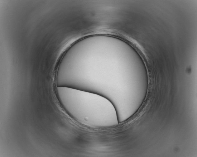 X0000091581415200708201003