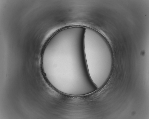 X0000091581416200708201003