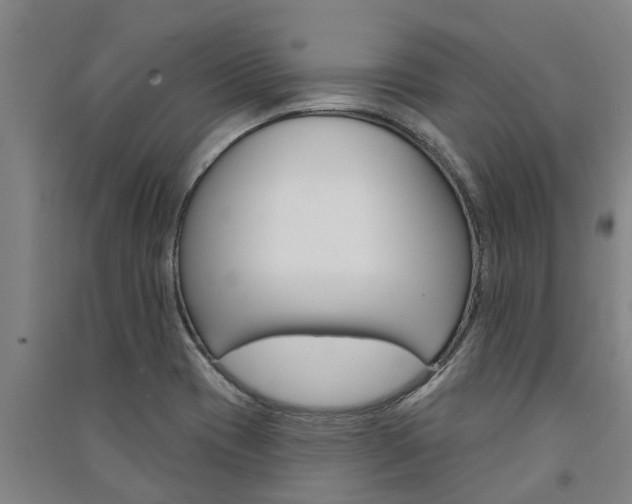 X0000091581417200708201003