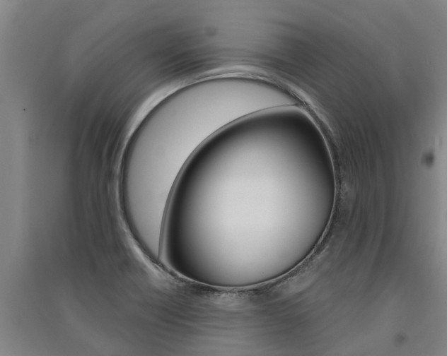 X0000091581418200708201003