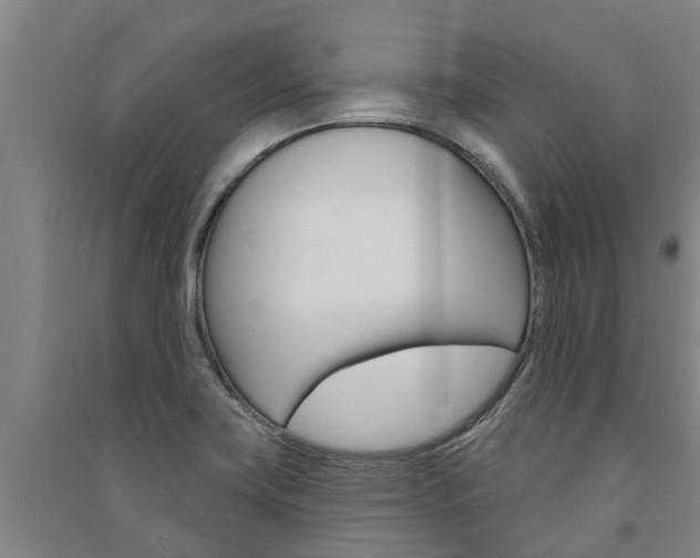 X0000091581419200708201003
