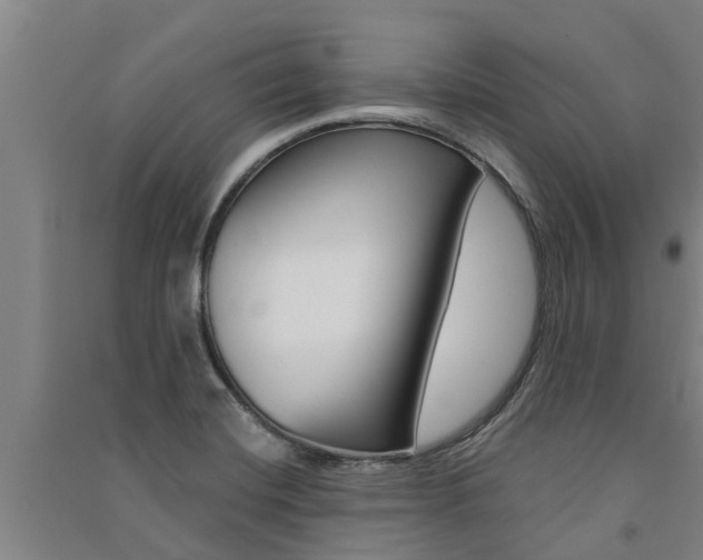 X0000091581420200708201003
