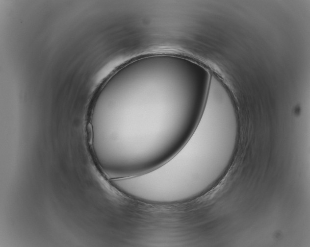 X0000091581422200708201003
