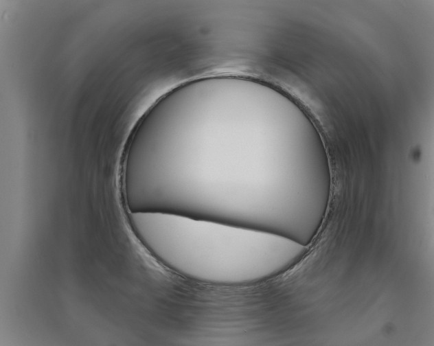 X0000091581423200708201003