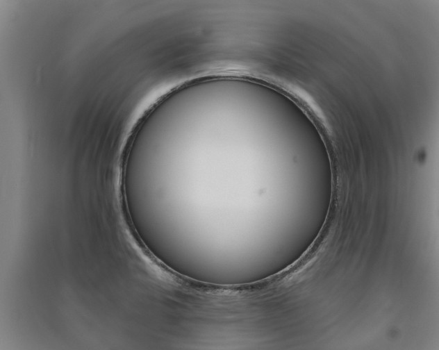 X0000091581424200708201003
