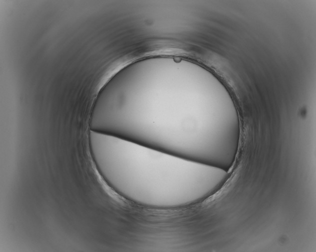 X0000091581425200708201003