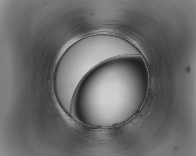 X0000091581426200708201003