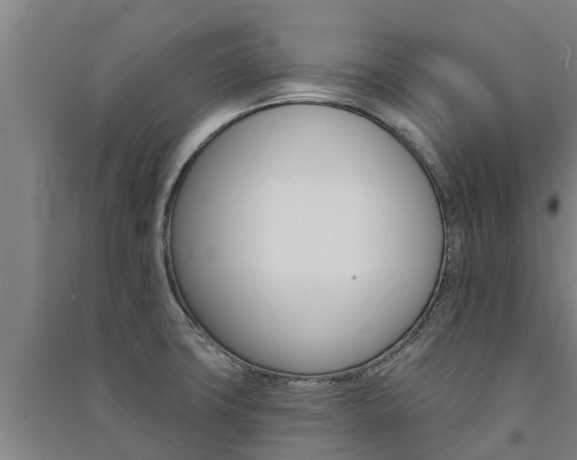 X0000091581427200708201003