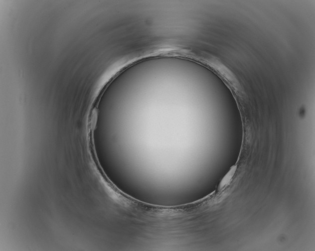 X0000091581430200708201003