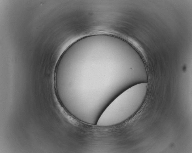 X0000091581431200708201003