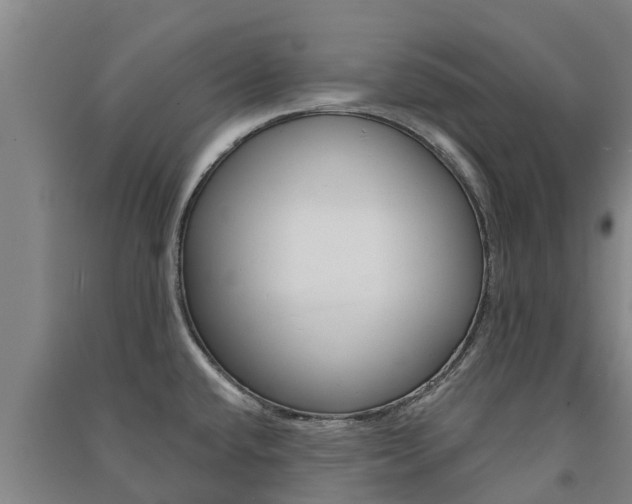 X0000091581432200708201003