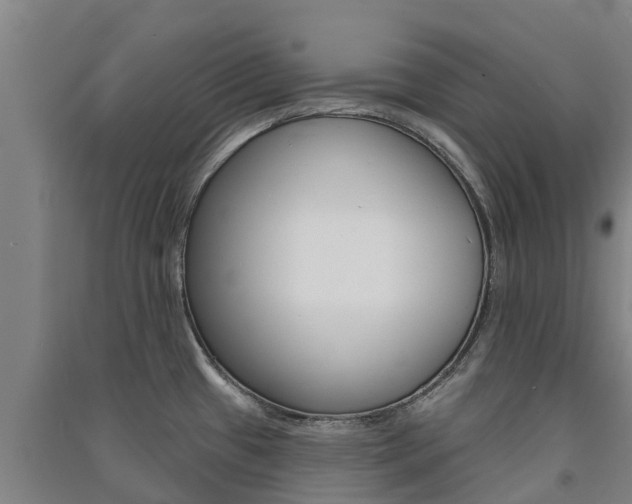 X0000091581433200708201003