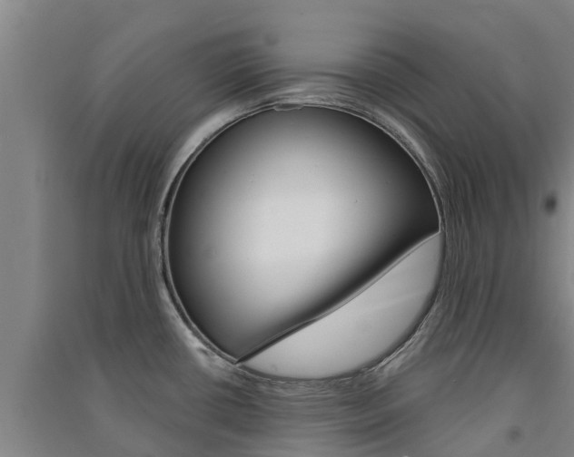 X0000091581434200708201003