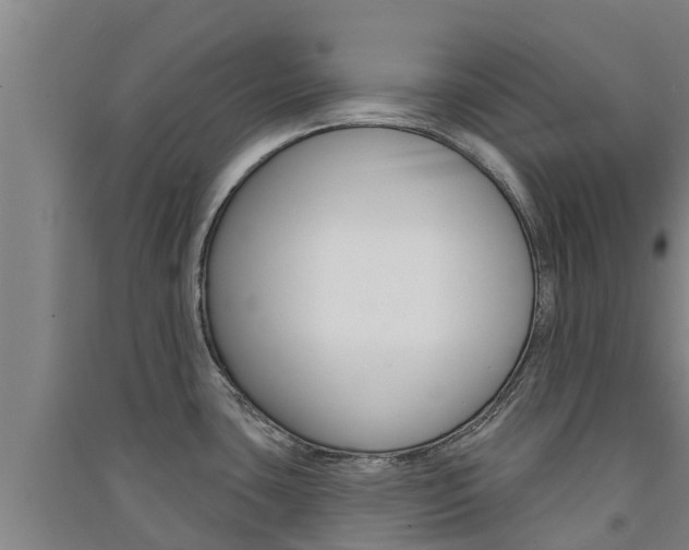 X0000091581435200708201003