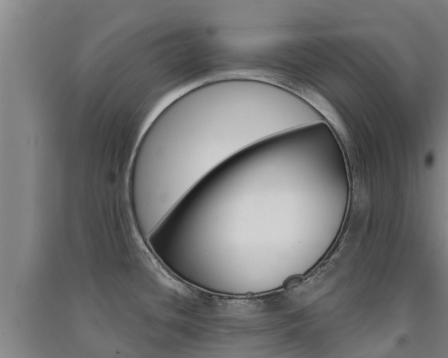 X0000091581436200708201003