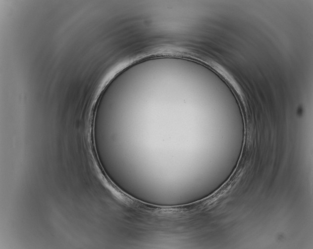 X0000091581437200708201003