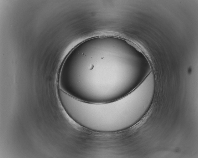 X0000091581438200708201003