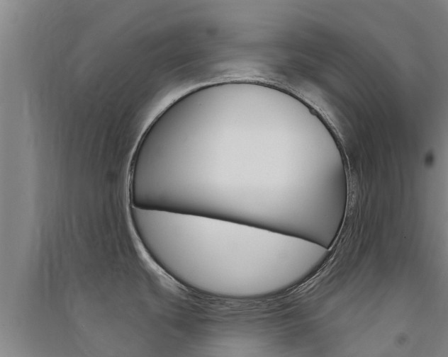 X0000091581439200708201003