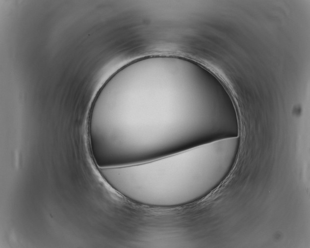 X0000091581440200708201003