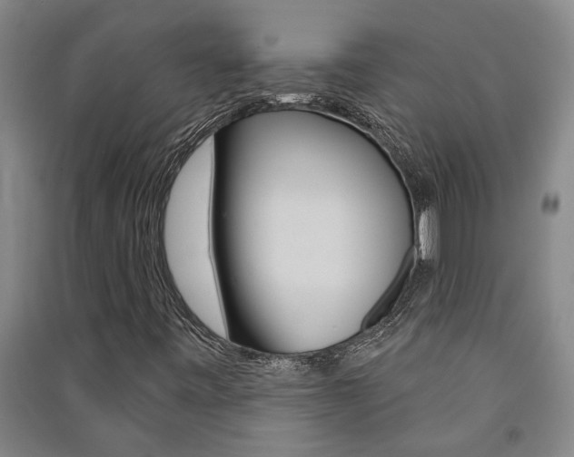 X0000091581443200708201003
