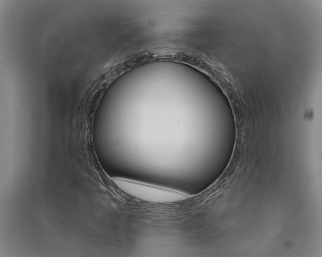 X0000091581445200708201003
