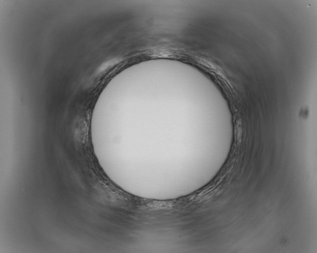 X0000091581446200708201003