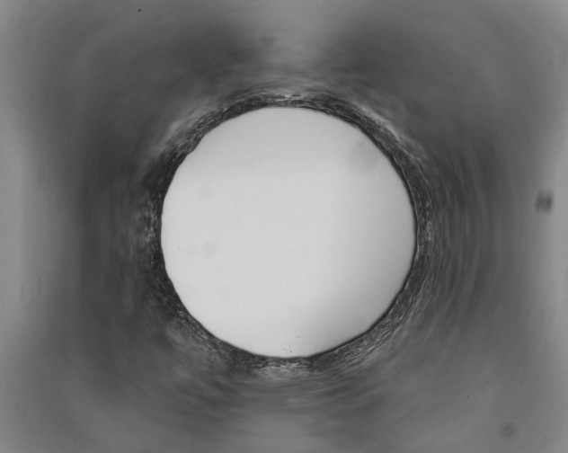 X0000091581447200708201003
