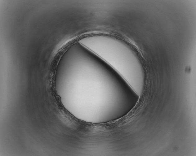 X0000091581448200708201003
