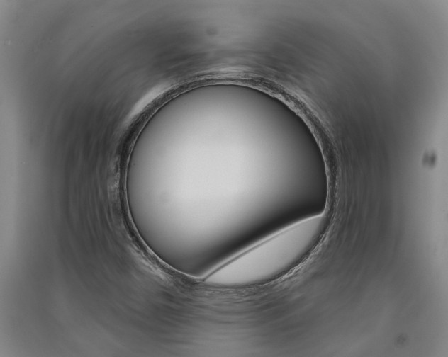 X0000091581450200708201003