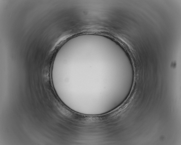 X0000091581451200708201003