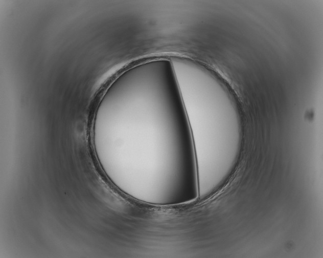 X0000091581452200708201003