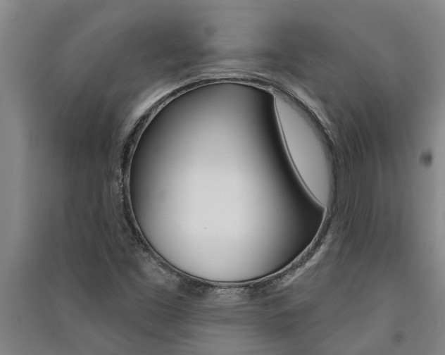 X0000091581453200708201003