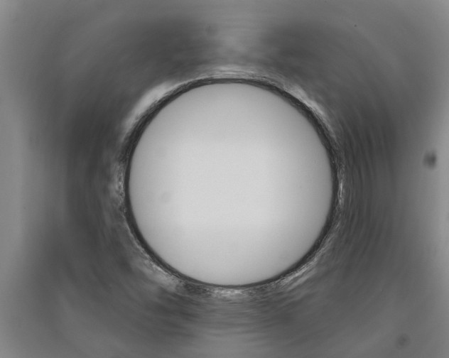 X0000091581454200708201003