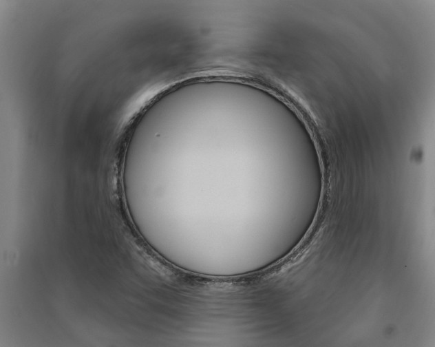 X0000091581455200708201003
