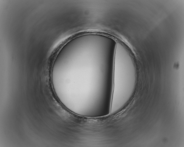 X0000091581456200708201003