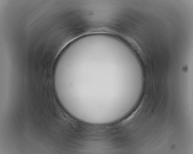 X0000091581457200708201003
