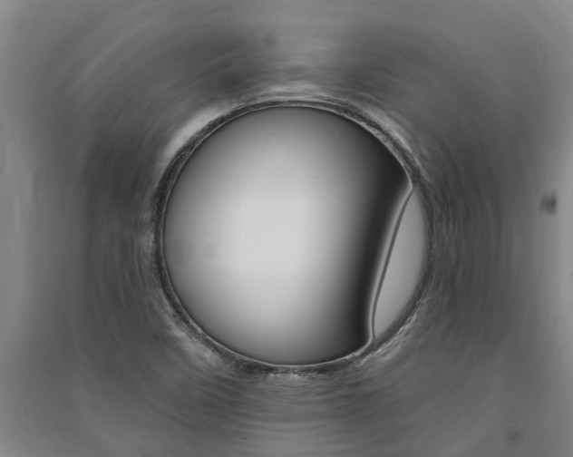 X0000091581458200708201003