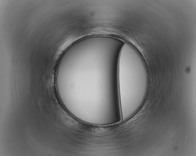 X0000091581459200708201003