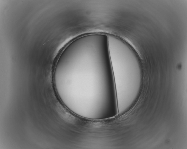 X0000091581460200708201003