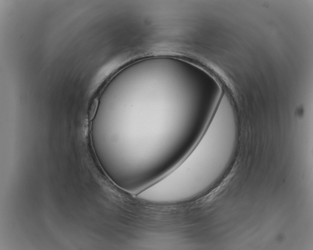 X0000091581461200708201003