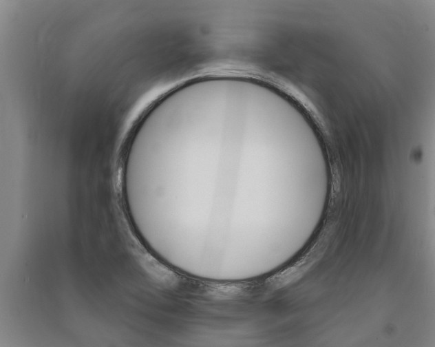 X0000091581462200708201003