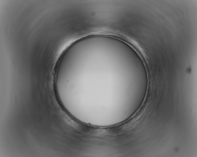 X0000091581463200708201003