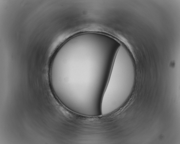 X0000091581464200708201003