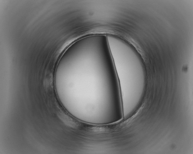 X0000091581465200708201002