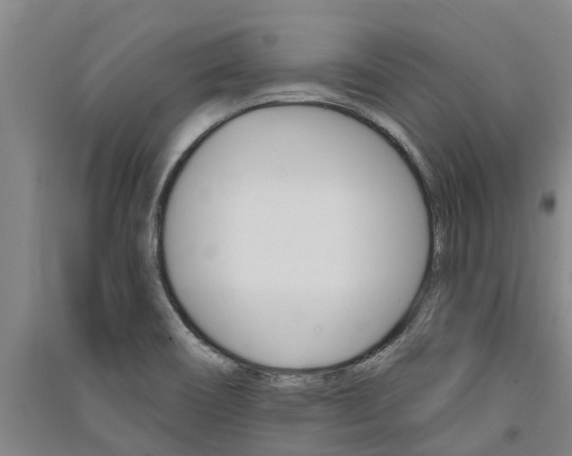 X0000091581466200708201002