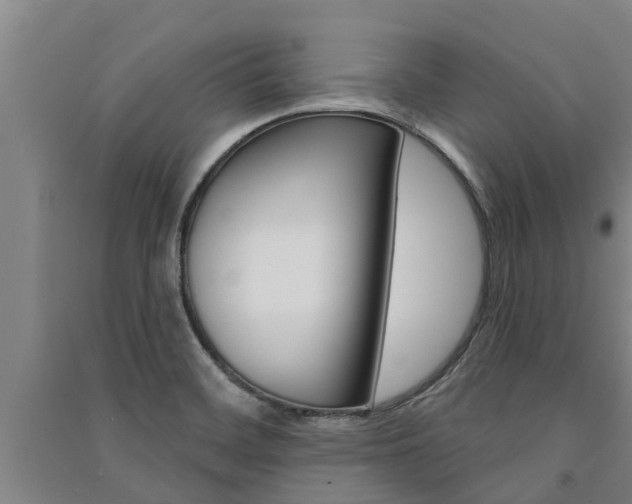 X0000091581468200708201002